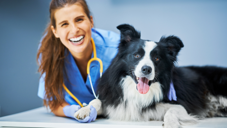 20+ Free Veterinary Care Resources for Low Income Pet Owners