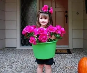 flowerpot for