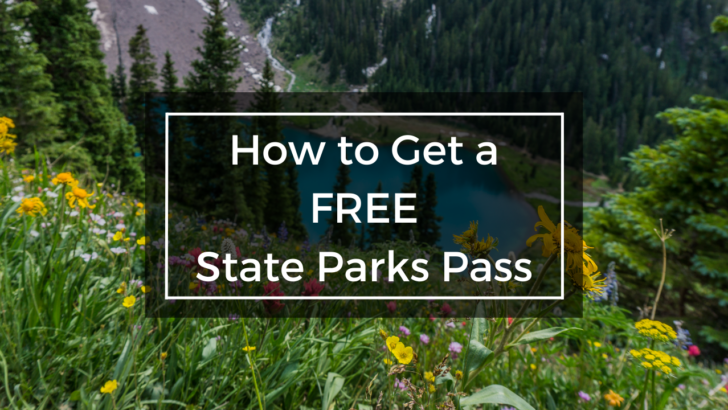 beautiful park behind text that says how to get a free state park pass