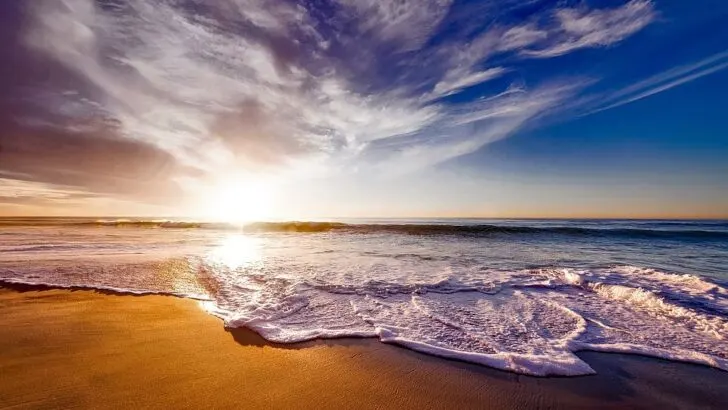 California state parks beach view