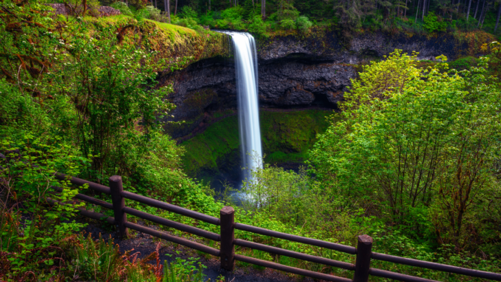 oregon state parks discount pass