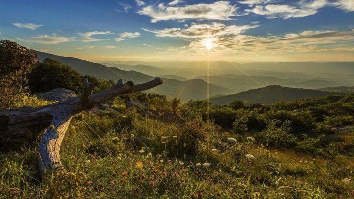 Visit Virginia State Parks FREE (or cheap)!
