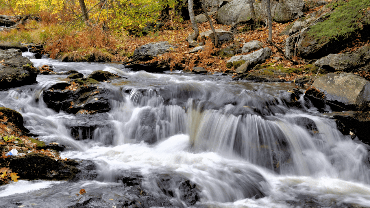 photo taken at willard brook state park Massachusetts with a mass state park pass for seniors