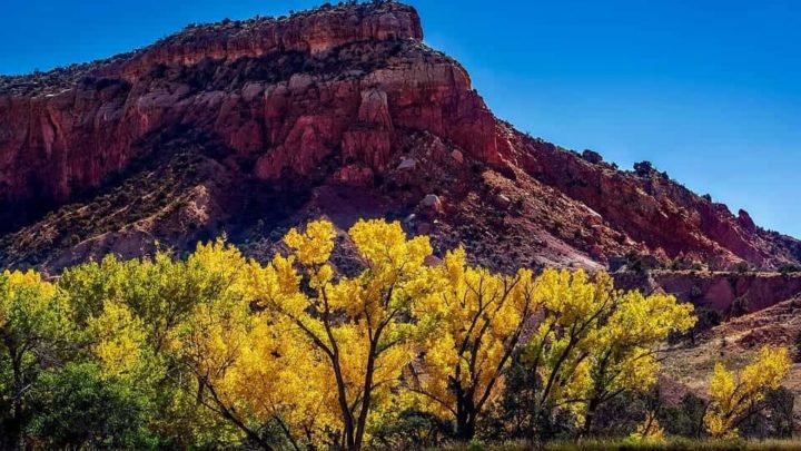 Save Money on New Mexico State Parks!