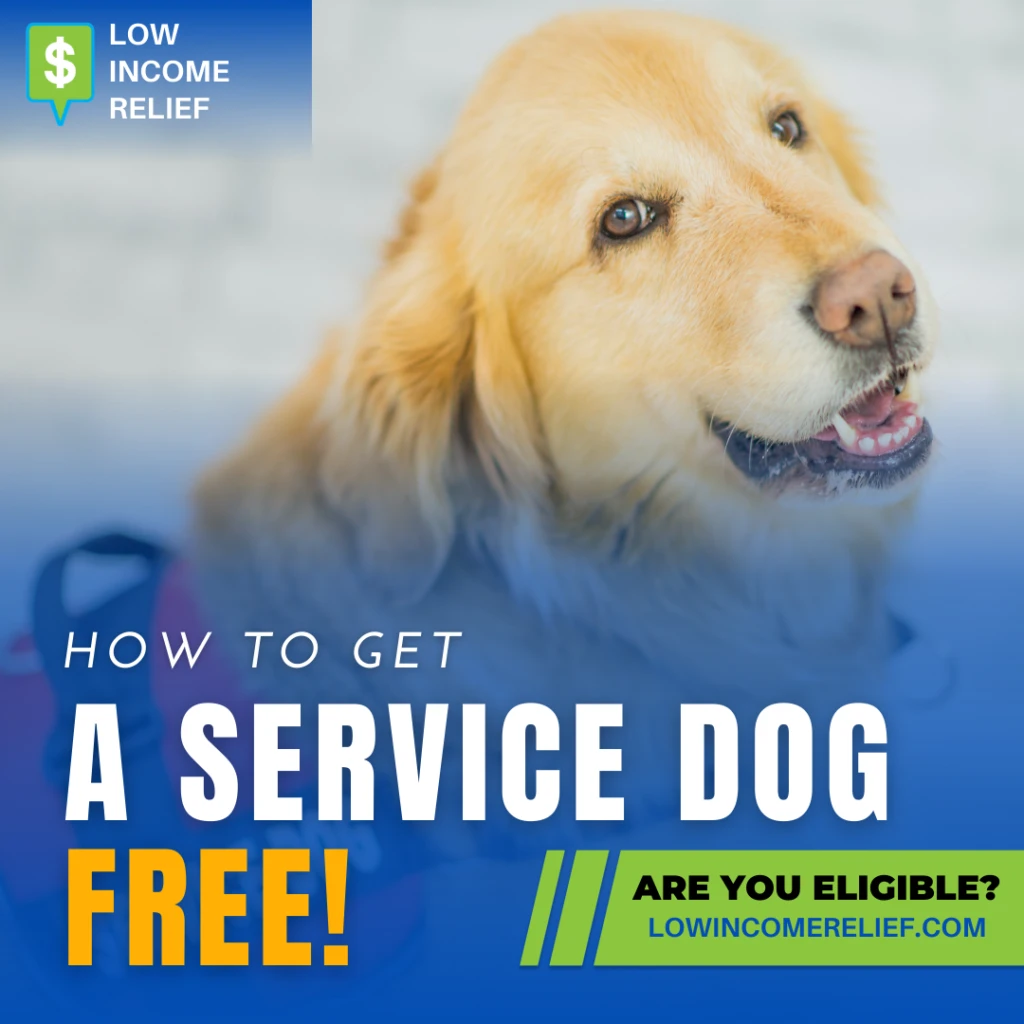 How To Get A Service Dog For FREE! - Low Income Relief