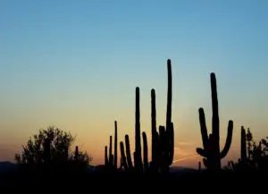 free things to do in tucson