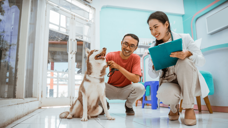 Free Or Low Cost Vet Clinics In Arkansas