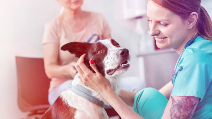 Low Cost & Free Veterinary Care for Low Income Pets in Arizona