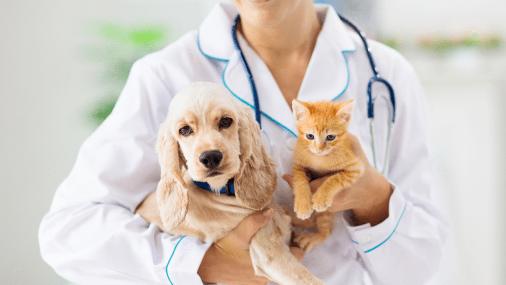 low cost vet in Delaware holds dog and cat