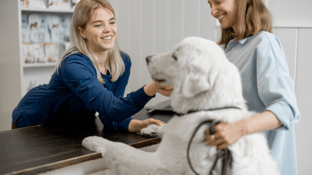 veterinarian provides pet assistance for low income families in Georgia