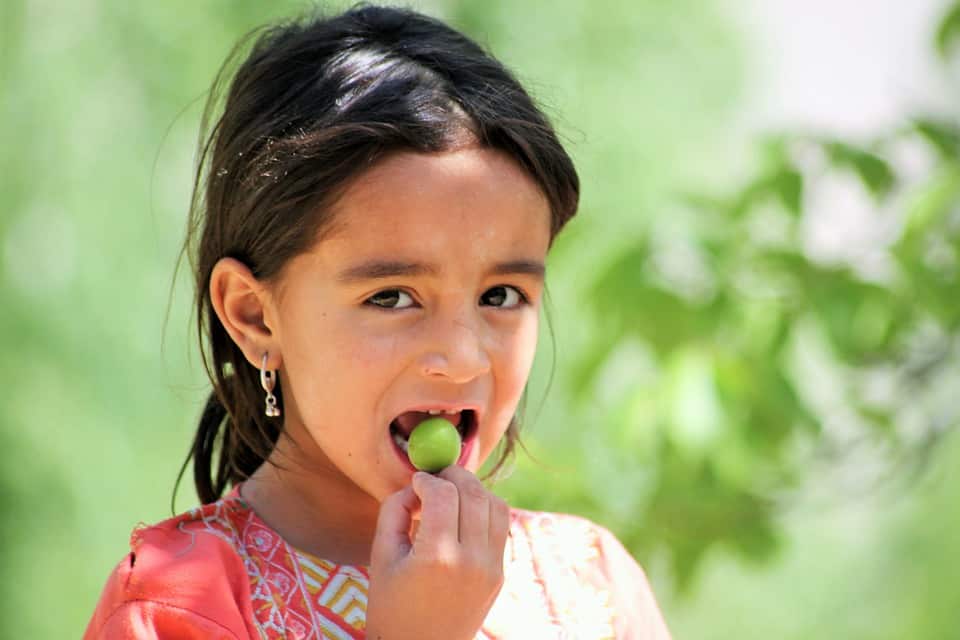 Pandemic Food Benefits Extended for Eligible Children - Talk of
