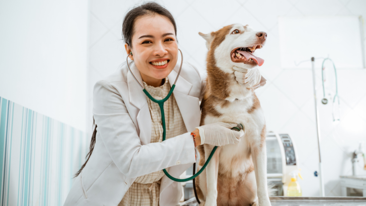 a woman with stethoscope around her neck and a dog to showcase free veterinary care for low income in nevada
