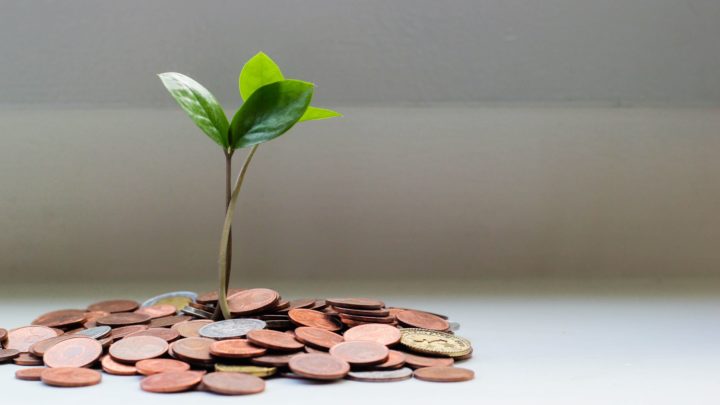 A little tree growing out of loose change