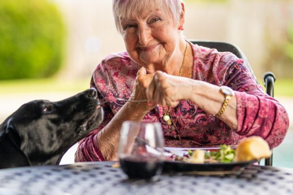 An older woman smiles as she enjoys a healthy meal. A black dog is looking up at her.