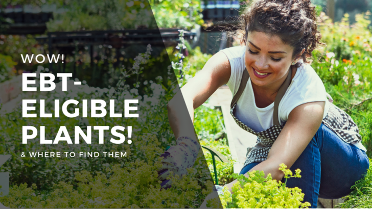 7 Incredible EBT-Eligible Plants & Gardening Kits