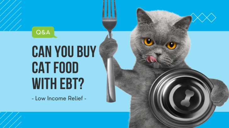 cover photo with hungry cat and text can you buy cat food with ebt