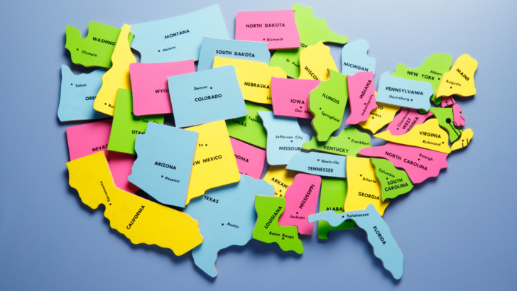 pile of state puzzle pieces represents questions about what states participate in the Restaurant Meals Program