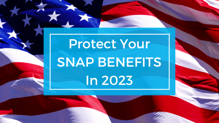 petition to protect your snap benefits in 2023 written over US flag waving in the wind