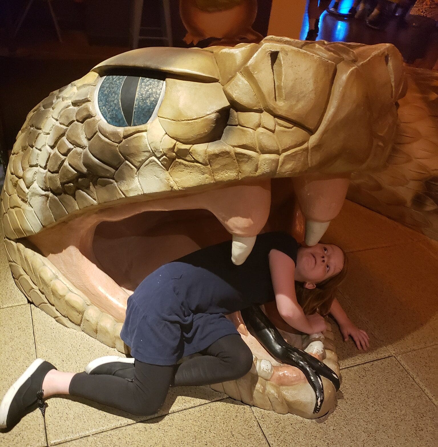 Nicole Thelin's family enjoying the Arizona-Sonora Desert Museum, which now offers an EBT discount in Arizona