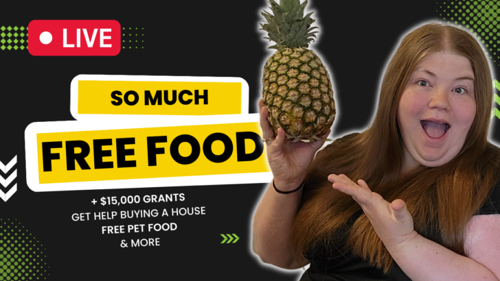 thumbnail for live low income updates on march 15, 2023 shows Nicole holding a pineapple under the headline so much free food