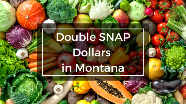 food collage under text that says double snap dollars in Montana