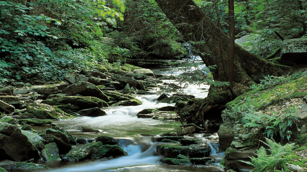 beautiful pa state parks discount