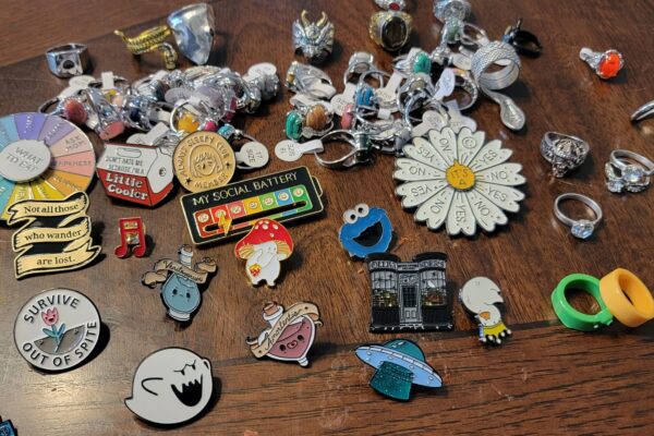pins I bought while learning how to make money on Temu