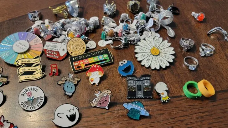 pins I bought while learning how to make money on Temu